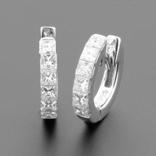 Load image into Gallery viewer, Halcy Hoops