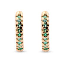 Load image into Gallery viewer, Laia Earrings
